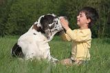 ENFANT ET CHIEN 544